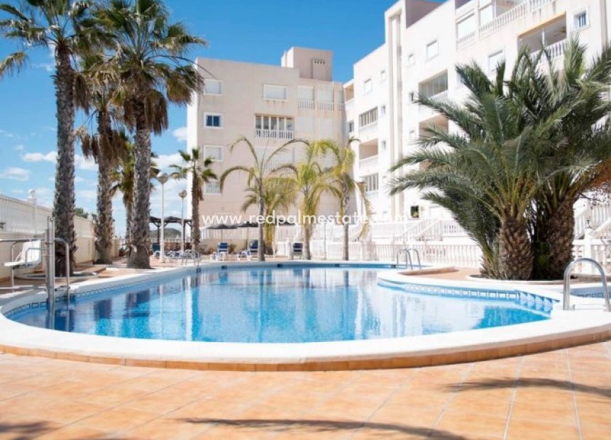 Herverkoop - Appartement -
Guardamar del Segura - Costa Blanca