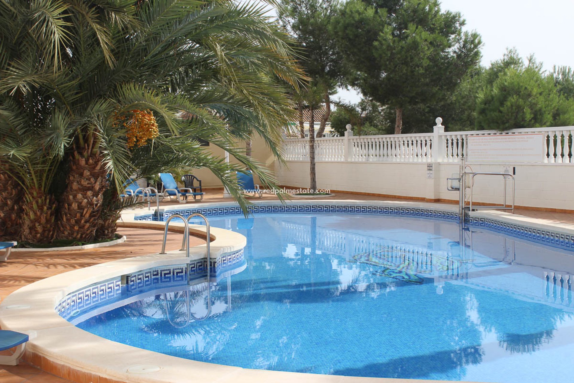 Herverkoop - Appartement -
Guardamar del Segura - Costa Blanca