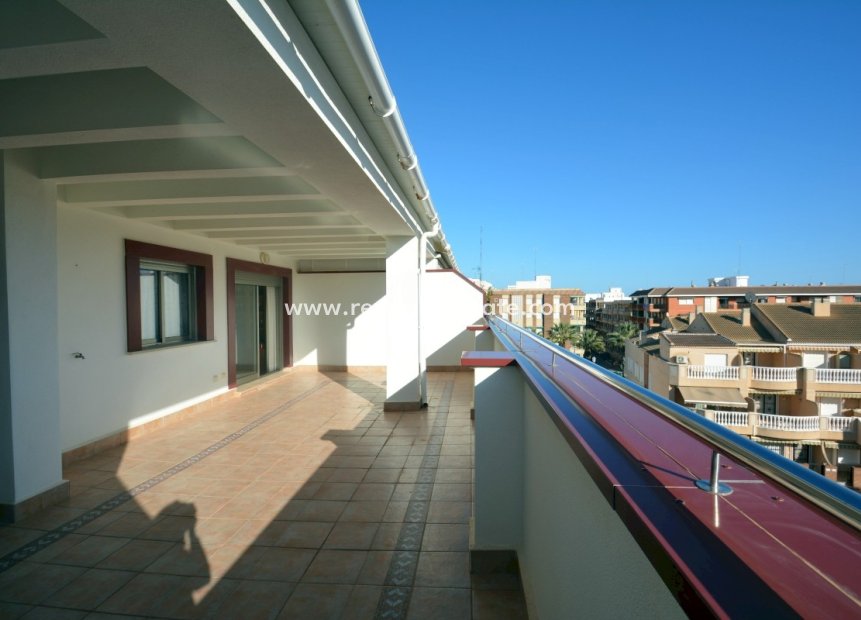 Herverkoop - Appartement -
Guardamar del Segura - Costa Blanca