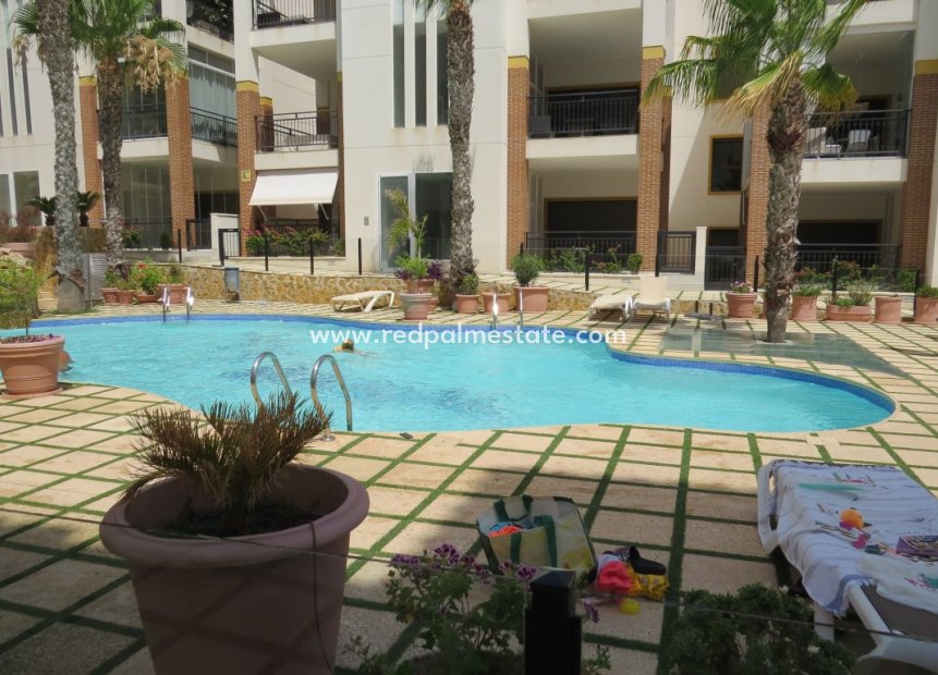 Herverkoop - Appartement -
Guardamar del Segura - Guardamar