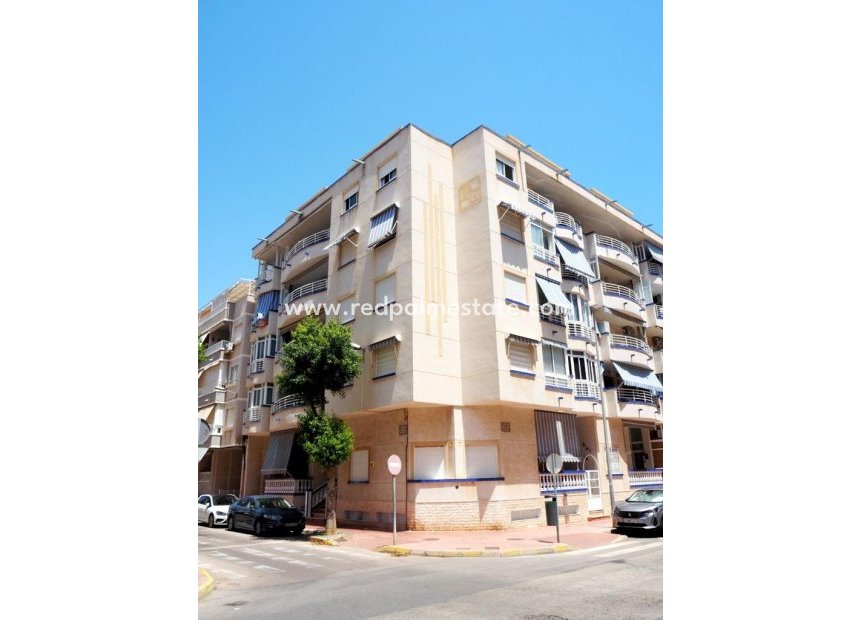 Herverkoop - Appartement -
Guardamar del Segura - Guardamar