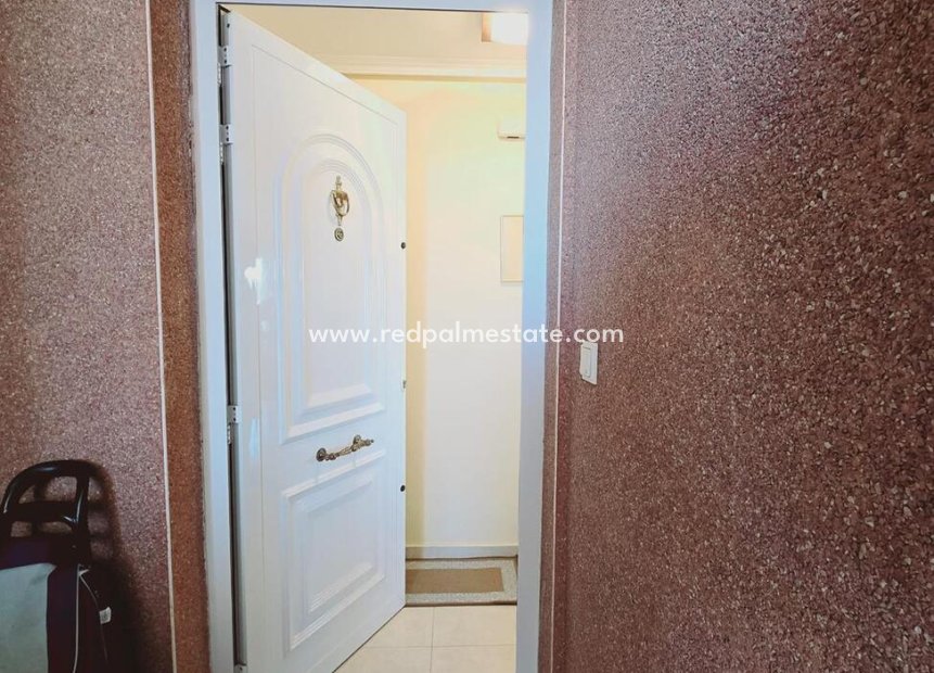 Herverkoop - Appartement -
Guardamar del Segura - Puerto