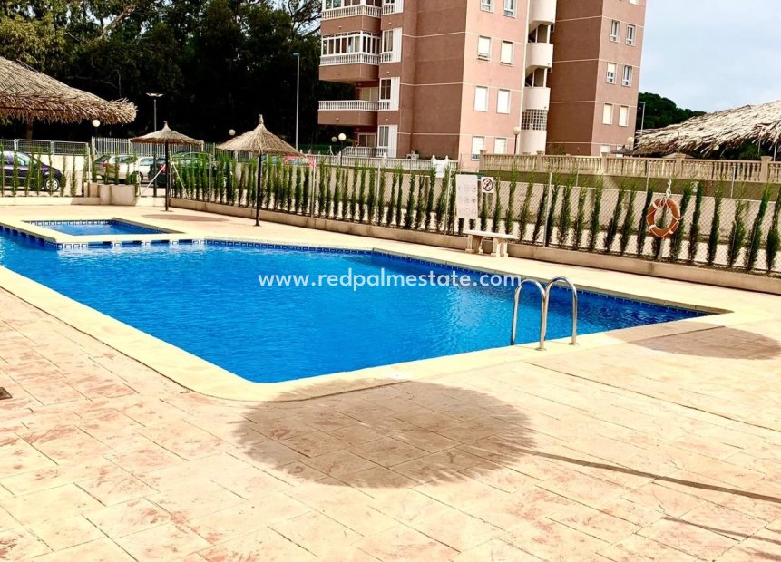 Herverkoop - Appartement -
Guardamar del Segura - Puerto