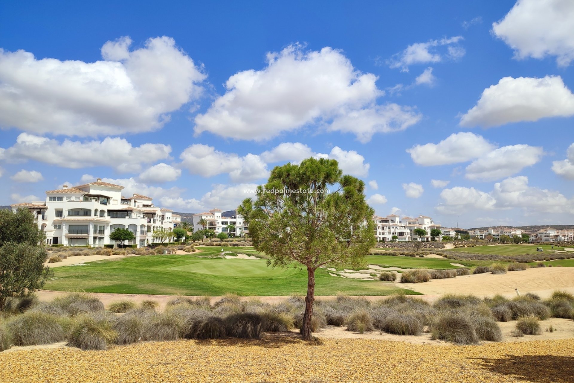 Herverkoop - Appartement -
Hacienda Riquelme Golf Resort - Inland