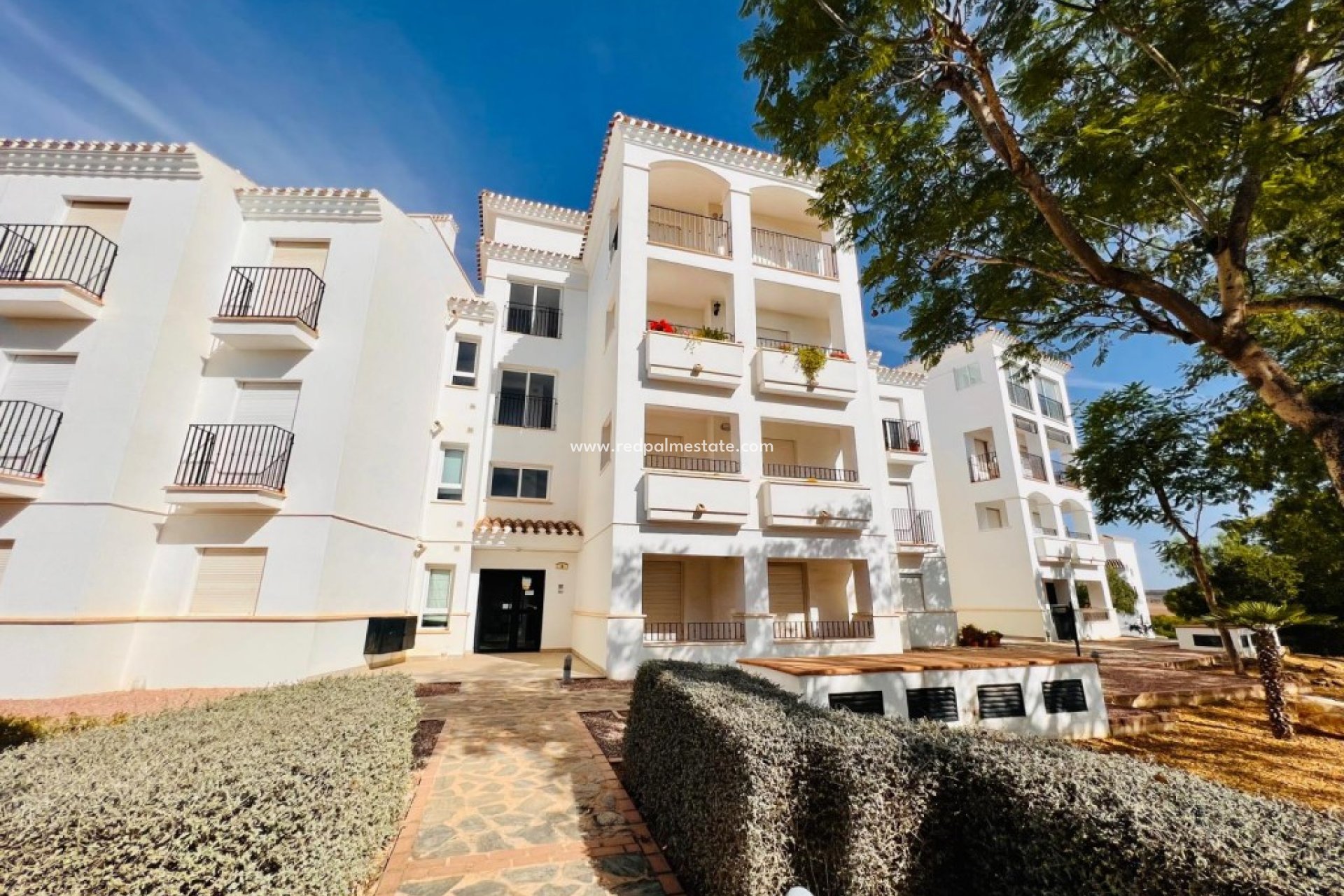 Herverkoop - Appartement -
Hacienda Riquelme Golf Resort - Inland