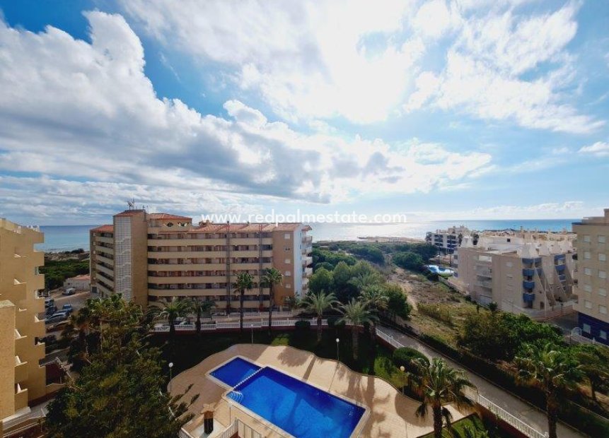 Herverkoop - Appartement -
La Mata - Costa Blanca