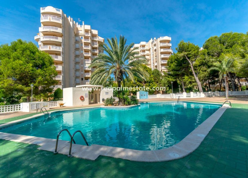 Herverkoop - Appartement -
Orihuela Costa - Campoamor