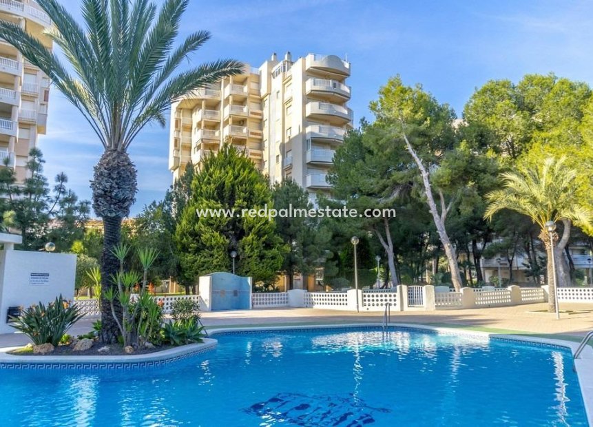 Herverkoop - Appartement -
Orihuela Costa - Campoamor