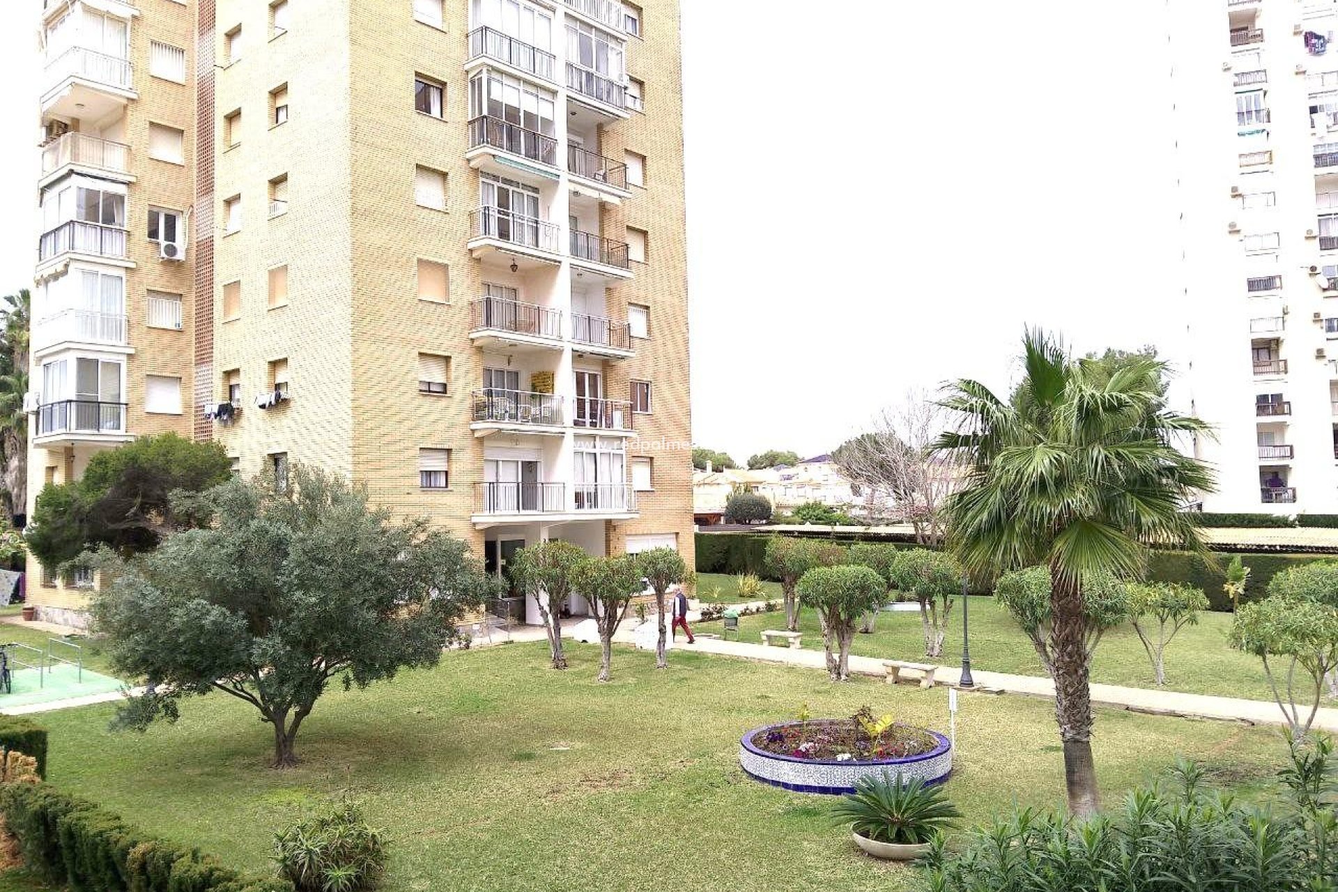 Herverkoop - Appartement -
Orihuela Costa - Campoamor