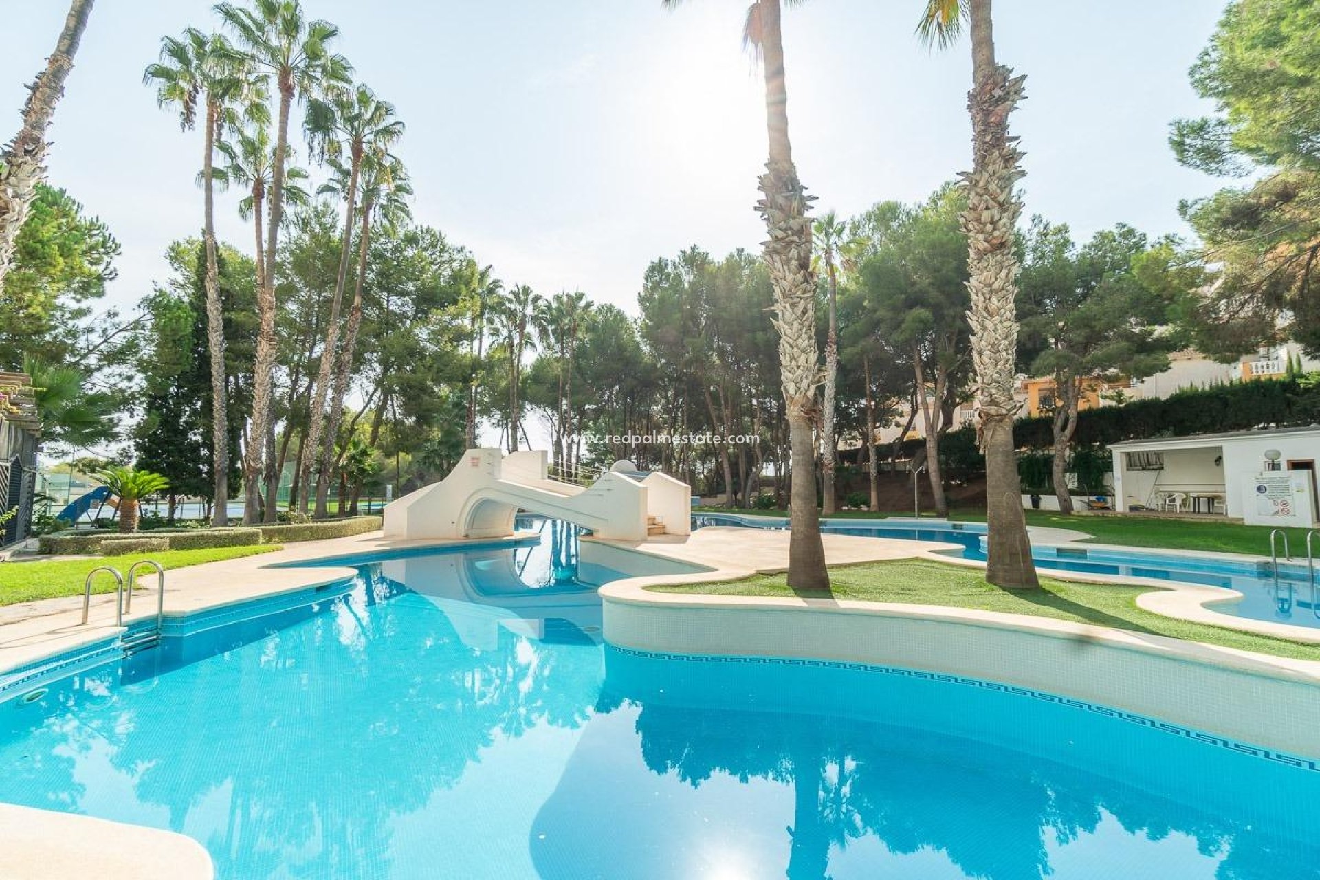 Herverkoop - Appartement -
Orihuela Costa - Campoamor