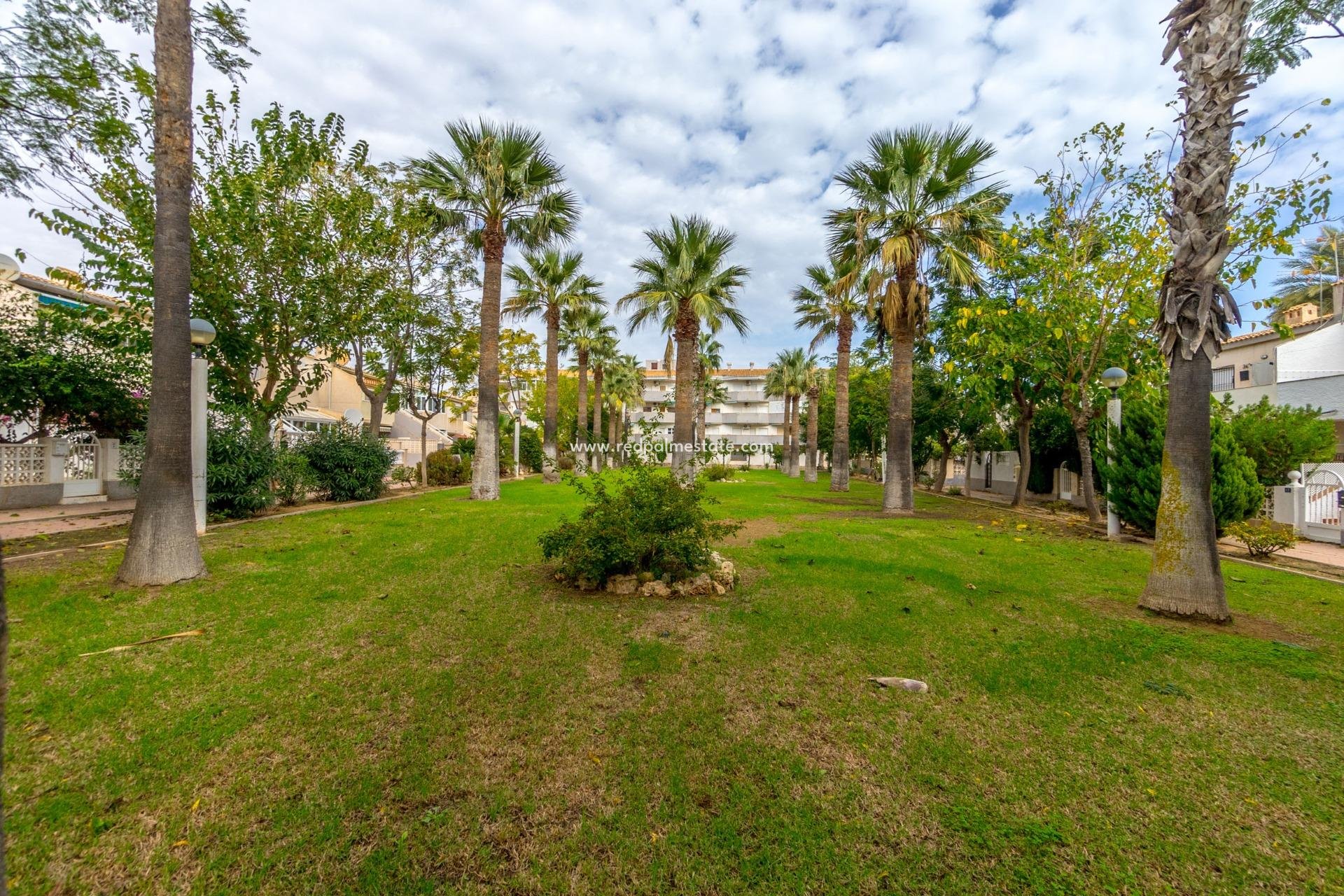 Herverkoop - Appartement -
Orihuela Costa - Campoamor