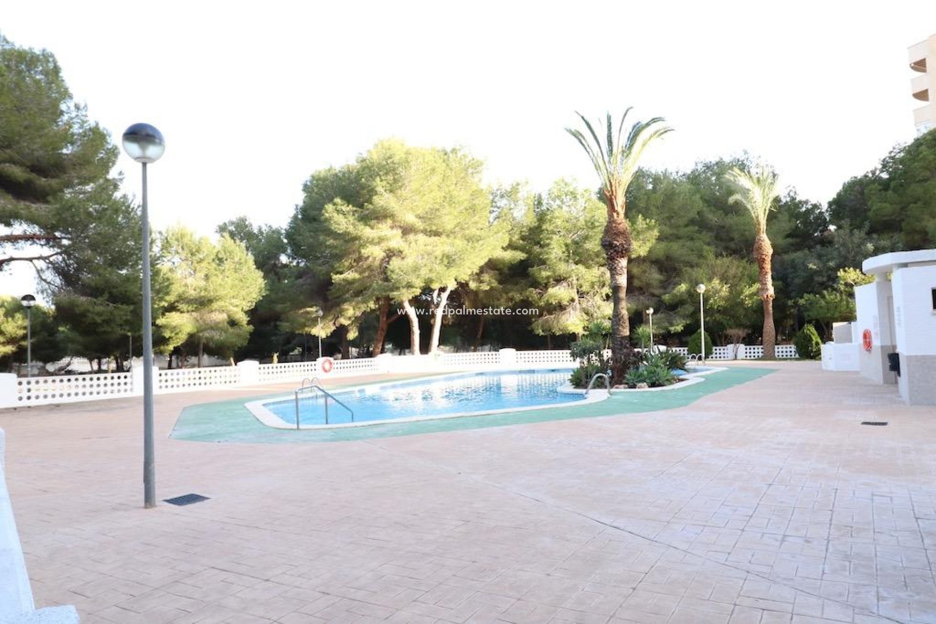 Herverkoop - Appartement -
Orihuela Costa - Campoamor