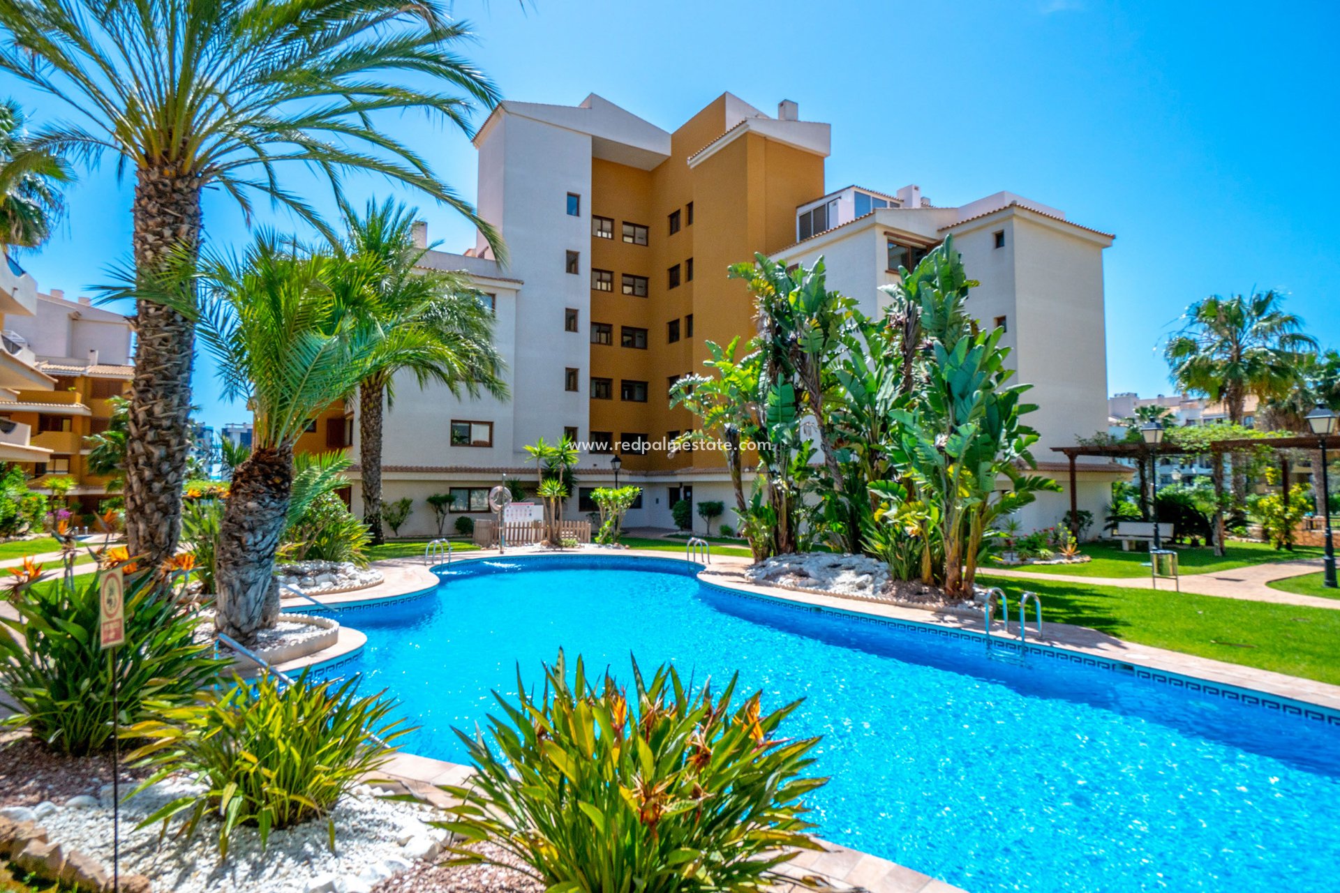 Herverkoop - Appartement -
Orihuela Costa - Costa Blanca