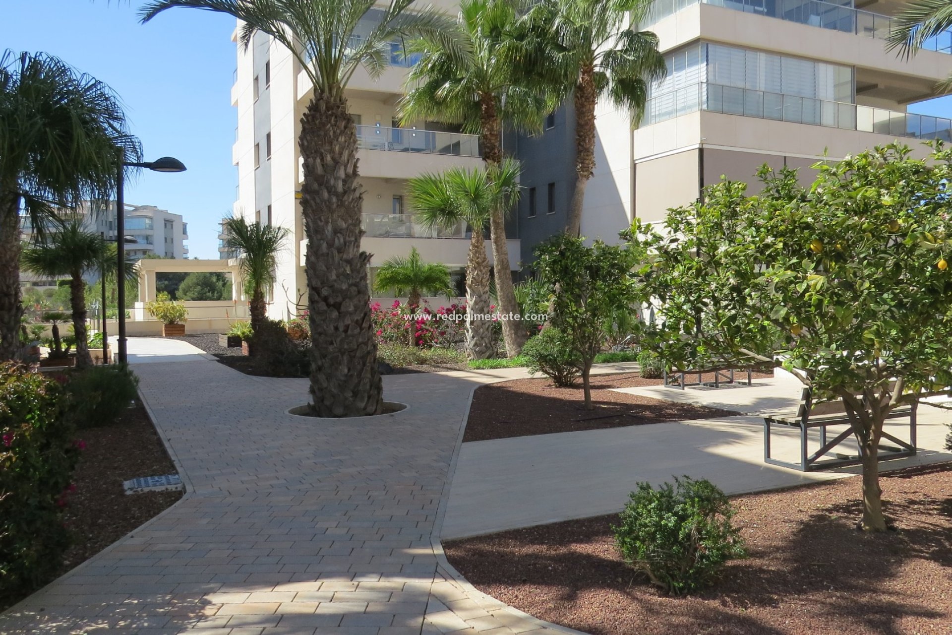 Herverkoop - Appartement -
Orihuela Costa - Costa Blanca