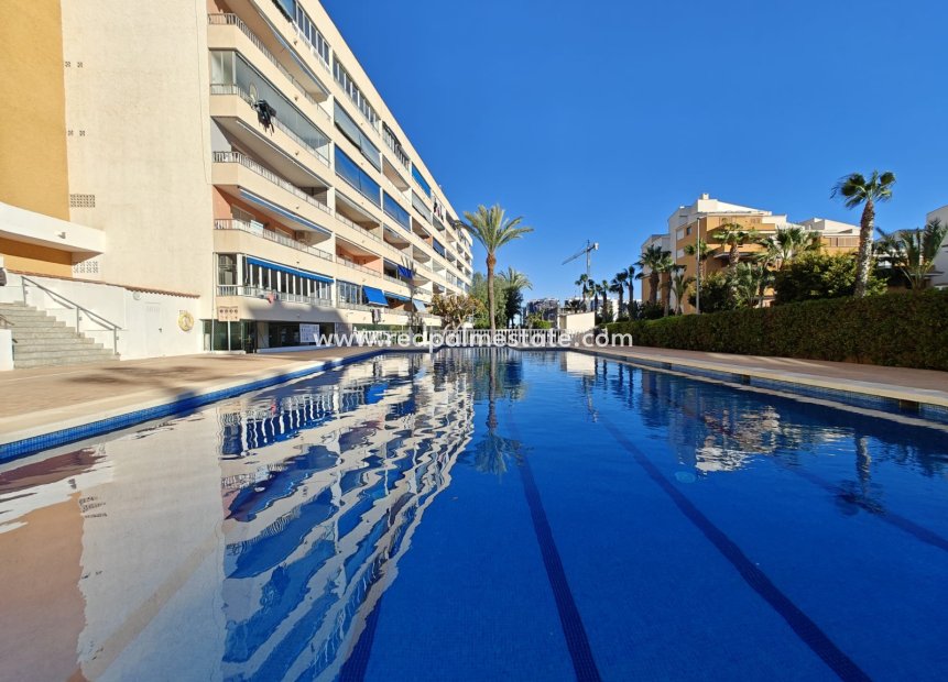 Herverkoop - Appartement -
Orihuela Costa - Costa Blanca