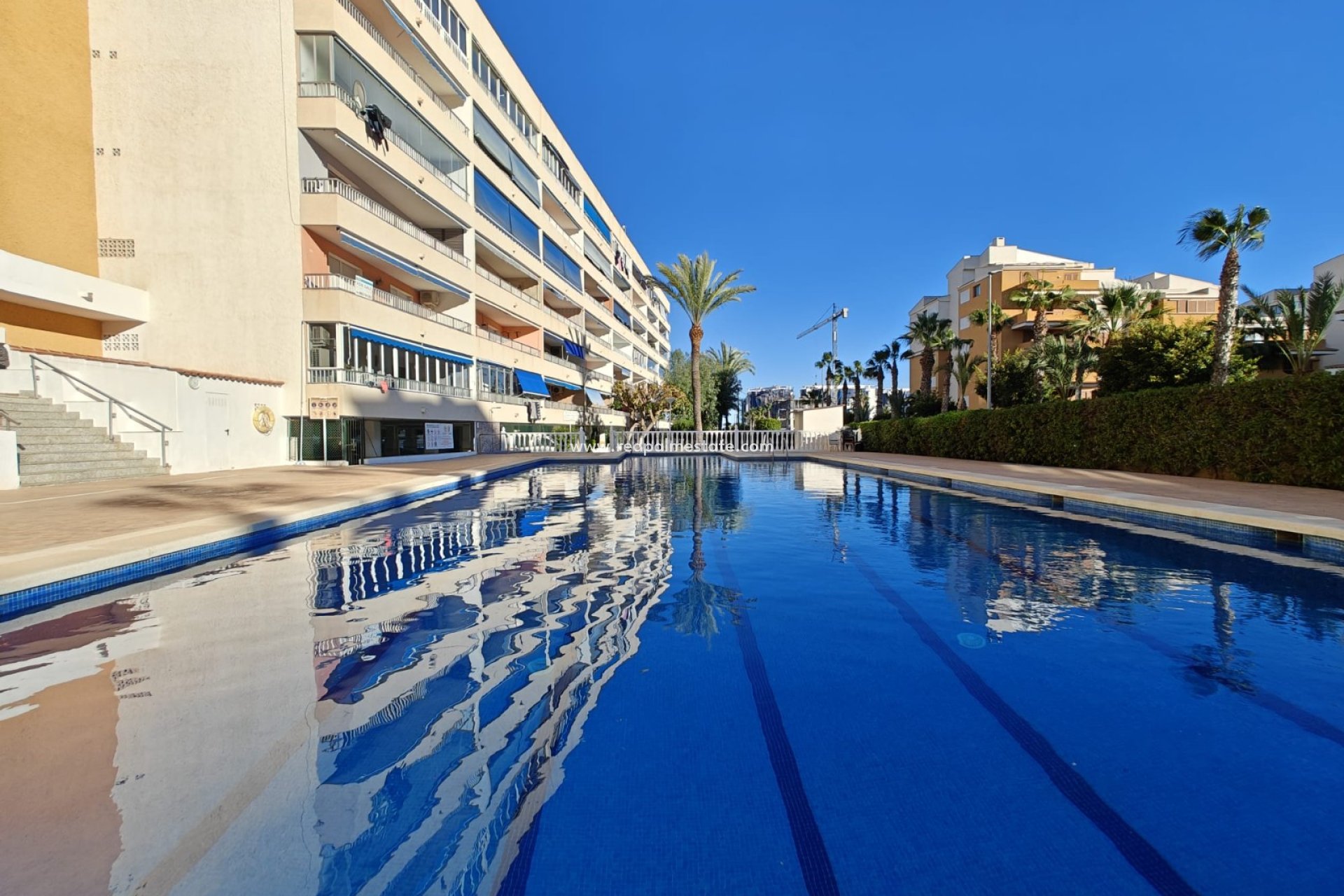 Herverkoop - Appartement -
Orihuela Costa - Costa Blanca