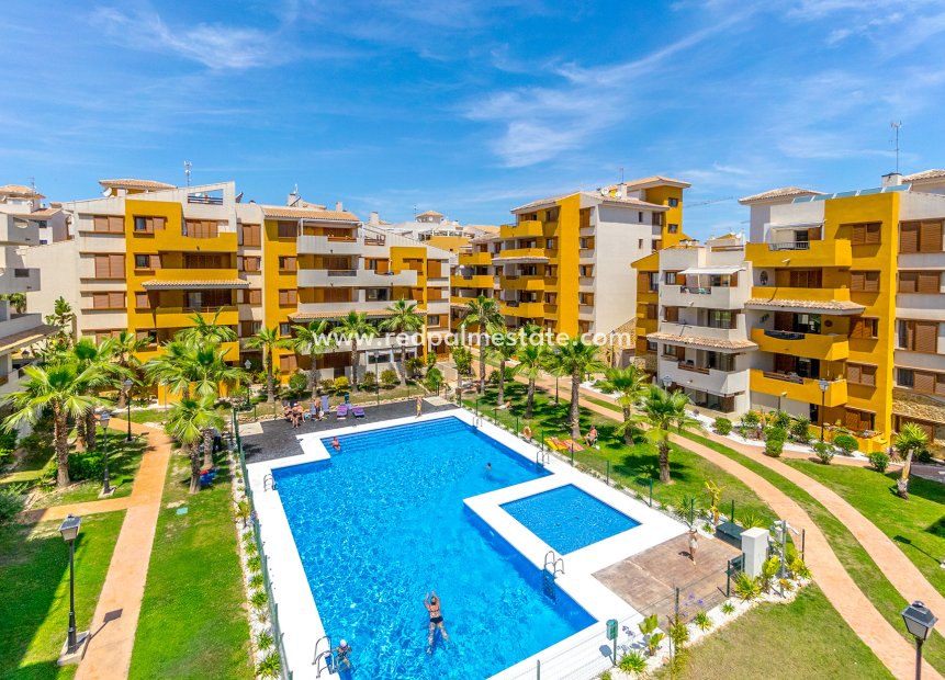 Herverkoop - Appartement -
Orihuela Costa - Costa Blanca