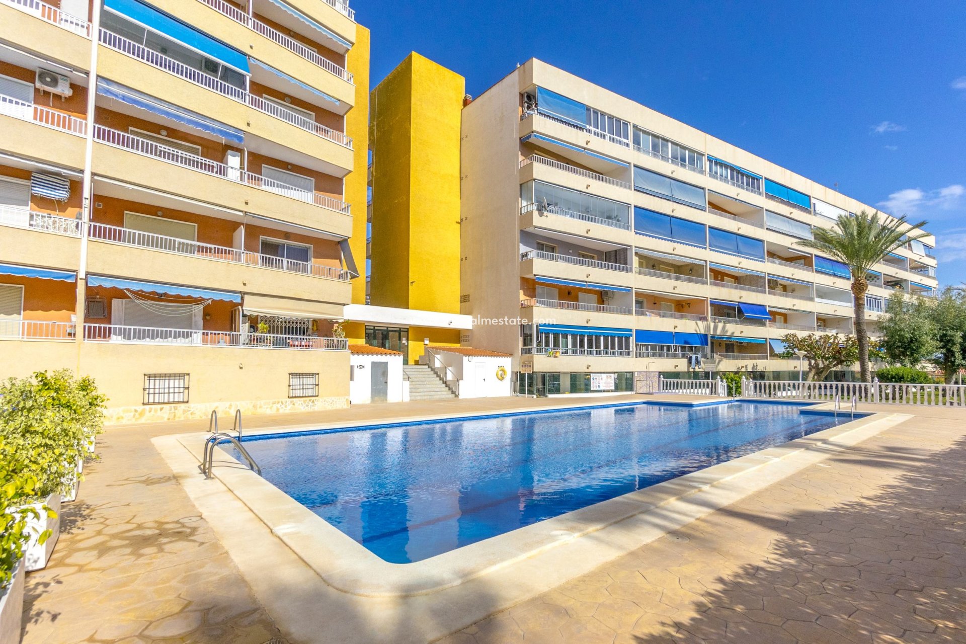 Herverkoop - Appartement -
Orihuela Costa - Costa Blanca