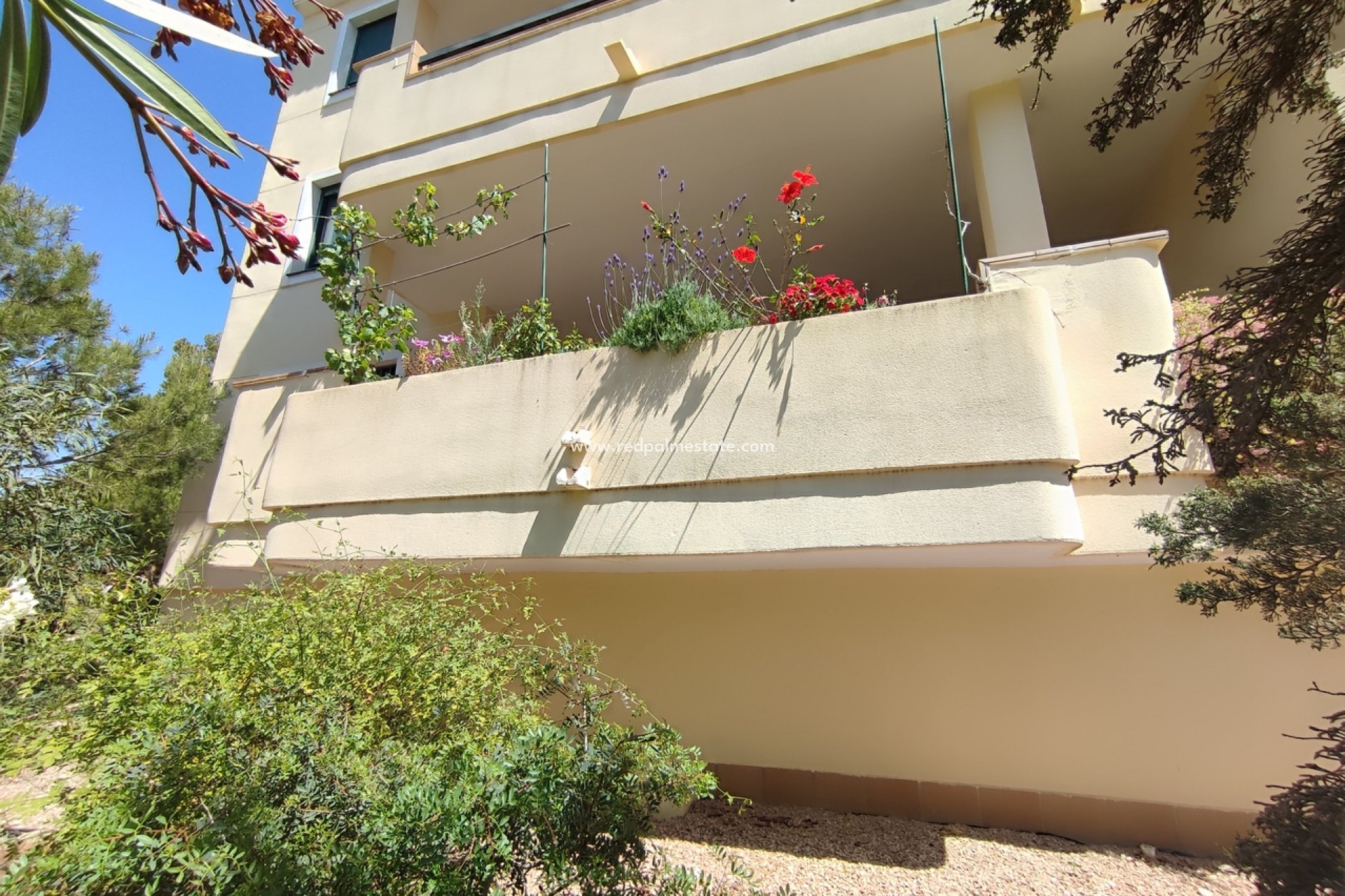 Herverkoop - Appartement -
Orihuela Costa - Costa Blanca