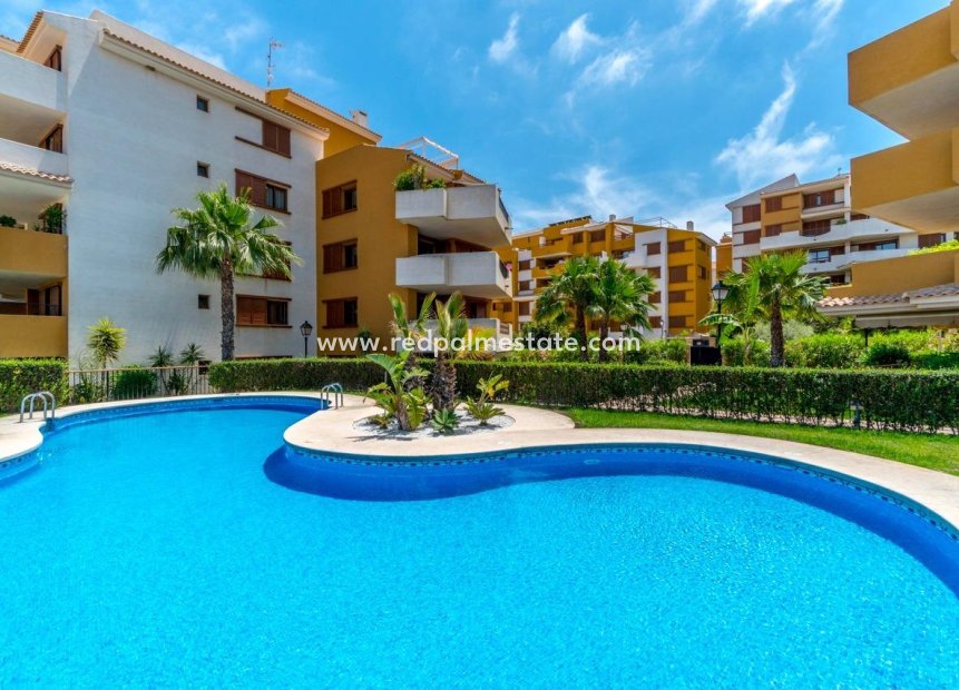 Herverkoop - Appartement -
Orihuela Costa - Costa blanca