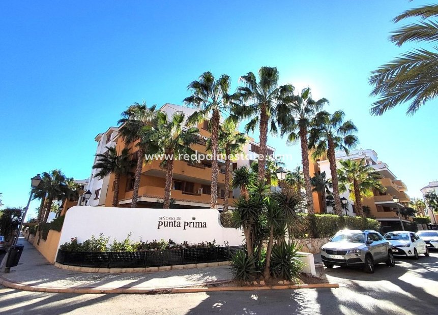 Herverkoop - Appartement -
Orihuela Costa - Costa blanca