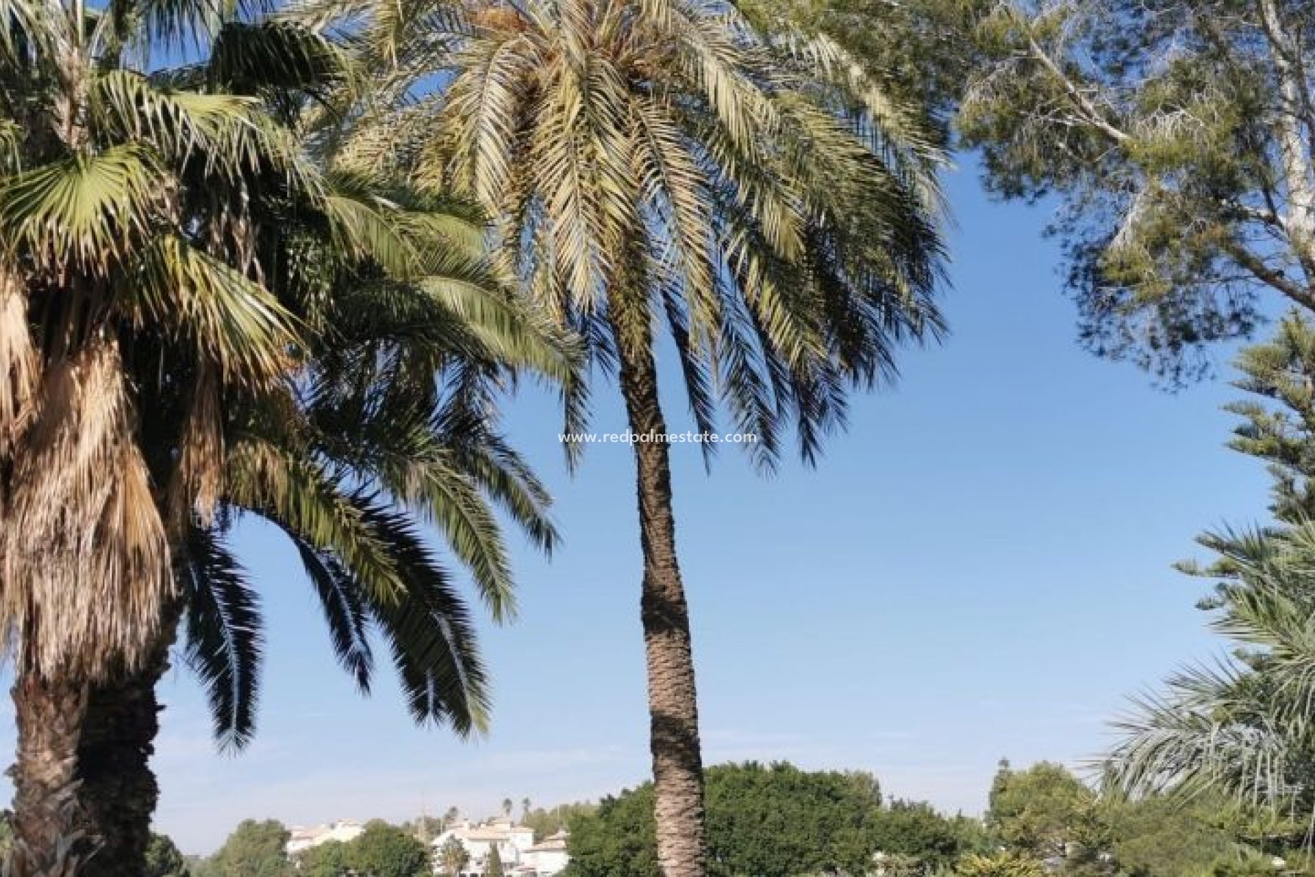 Herverkoop - Appartement -
Orihuela Costa - Costa Blanca