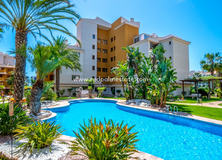 Herverkoop - Appartement -
Orihuela Costa - Costa Blanca