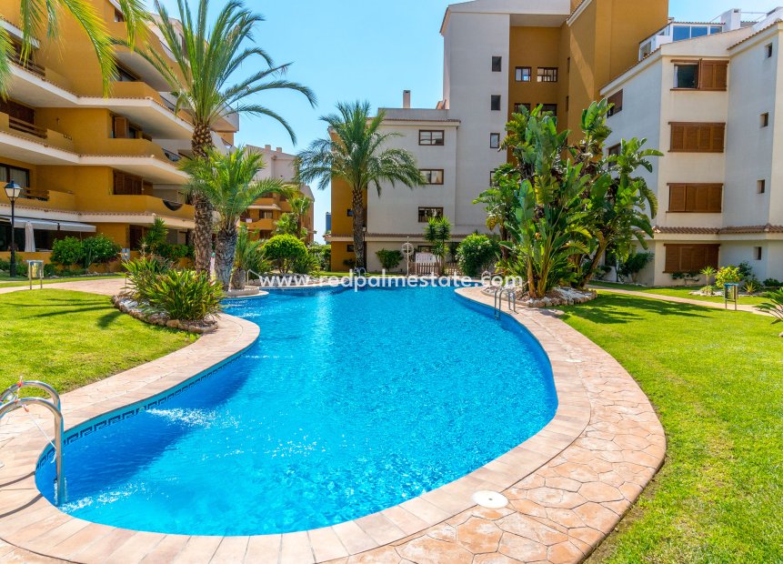 Herverkoop - Appartement -
Orihuela Costa - Costa Blanca