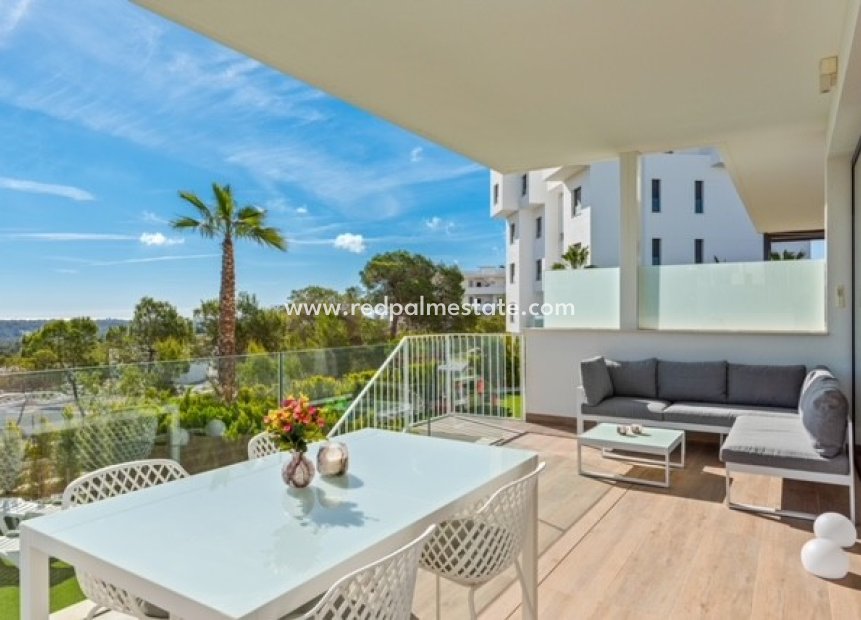 Herverkoop - Appartement -
Orihuela Costa - Costa Blanca