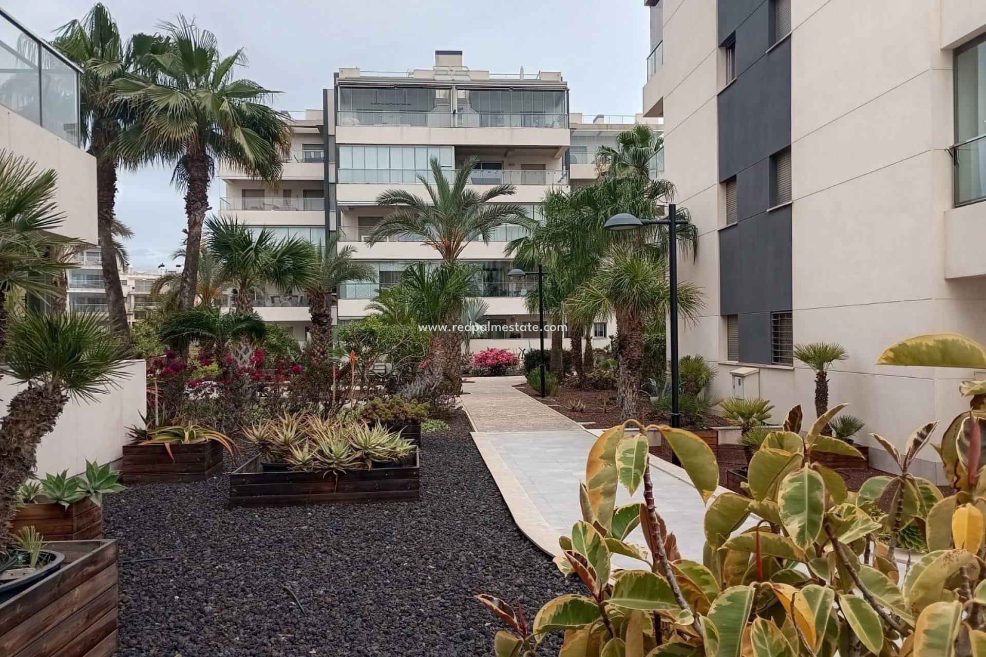 Herverkoop - Appartement -
Orihuela Costa - La Zenia