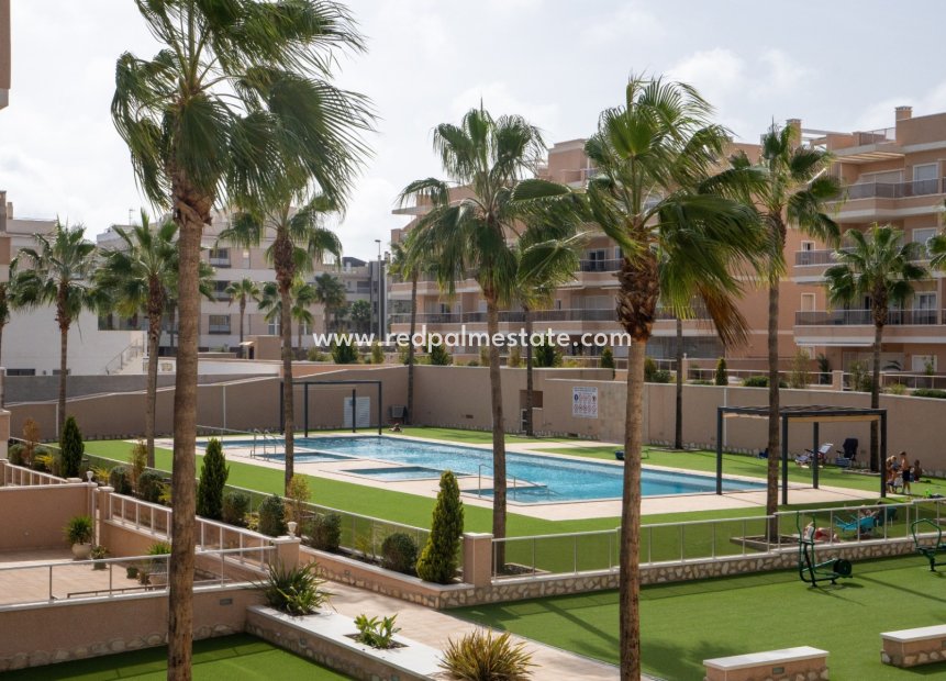 Herverkoop - Appartement -
Orihuela Costa - Villamartín