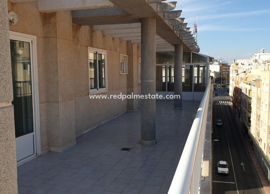 Herverkoop - Appartement Penthouse -
Torrevieja - Center