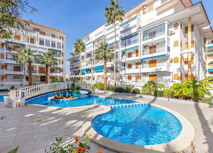 Herverkoop - Appartement Penthouse -
Torrevieja - Los Europeos