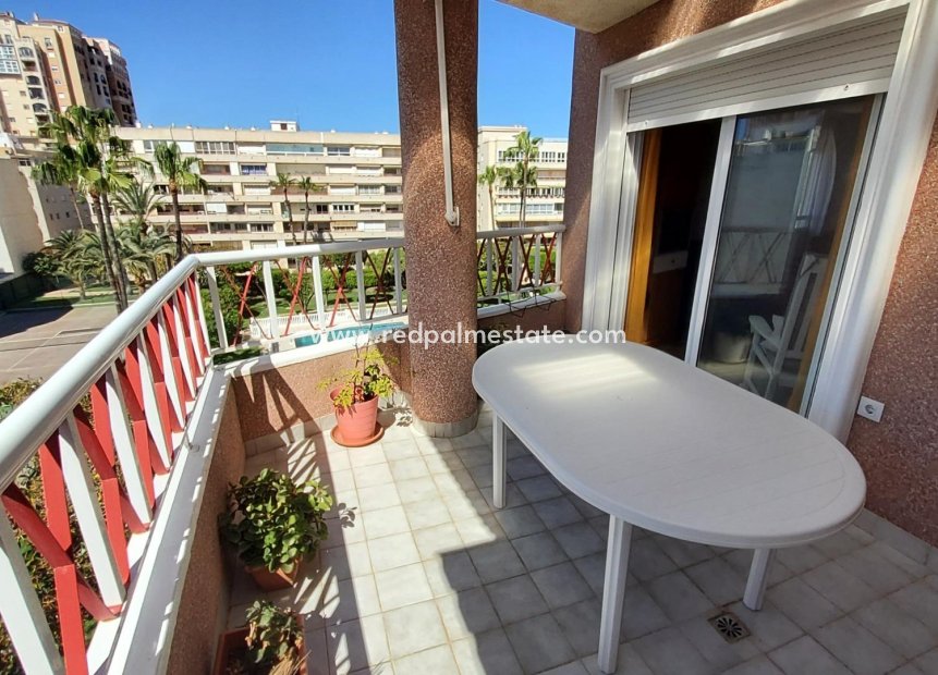 Herverkoop - Appartement Penthouse -
Torrevieja - Playa de los Locos