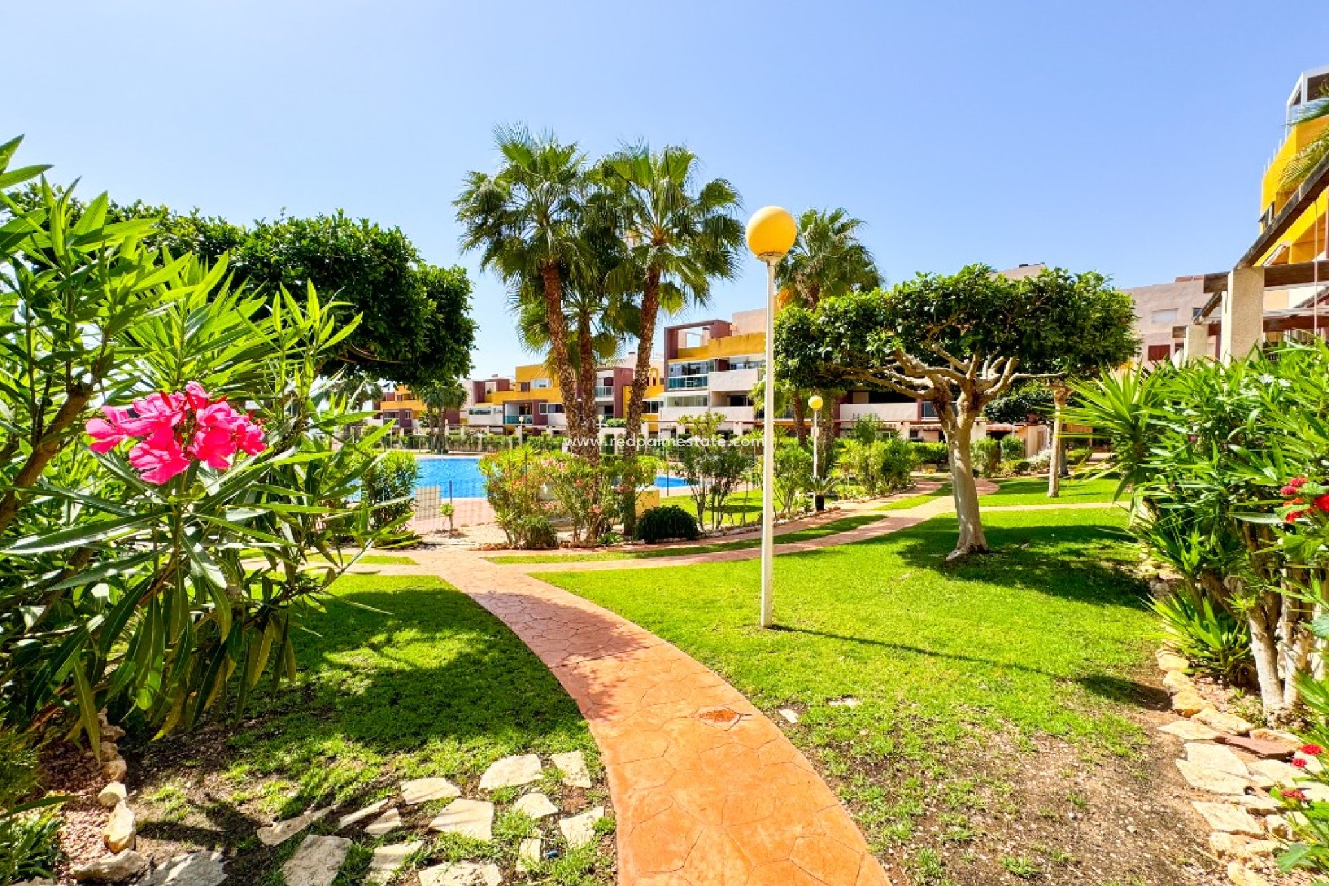 Herverkoop - Appartement -
Playa Flamenca - Costa Blanca