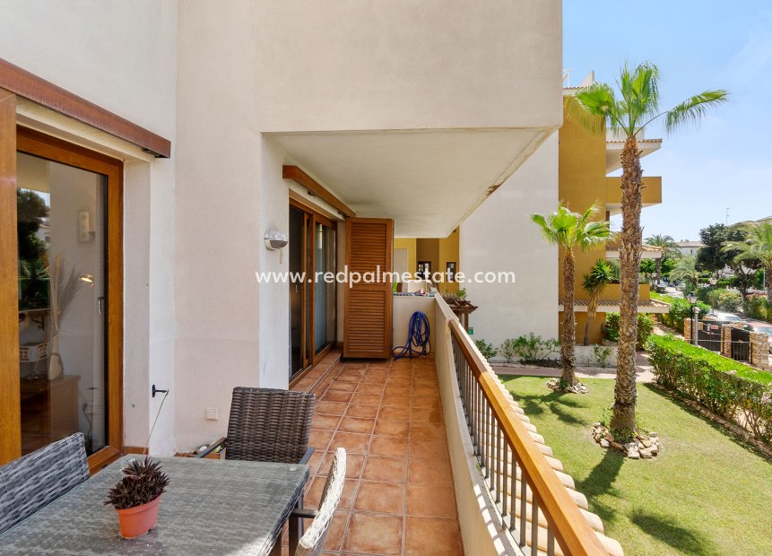 Herverkoop - Appartement -
Punta Prima - La Entrada