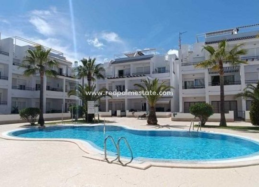 Herverkoop - Appartement -
Torrevieja - Acequion