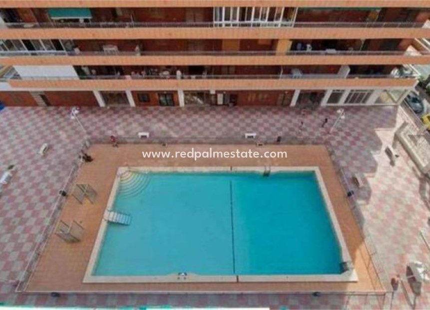 Herverkoop - Appartement -
Torrevieja - Acequion