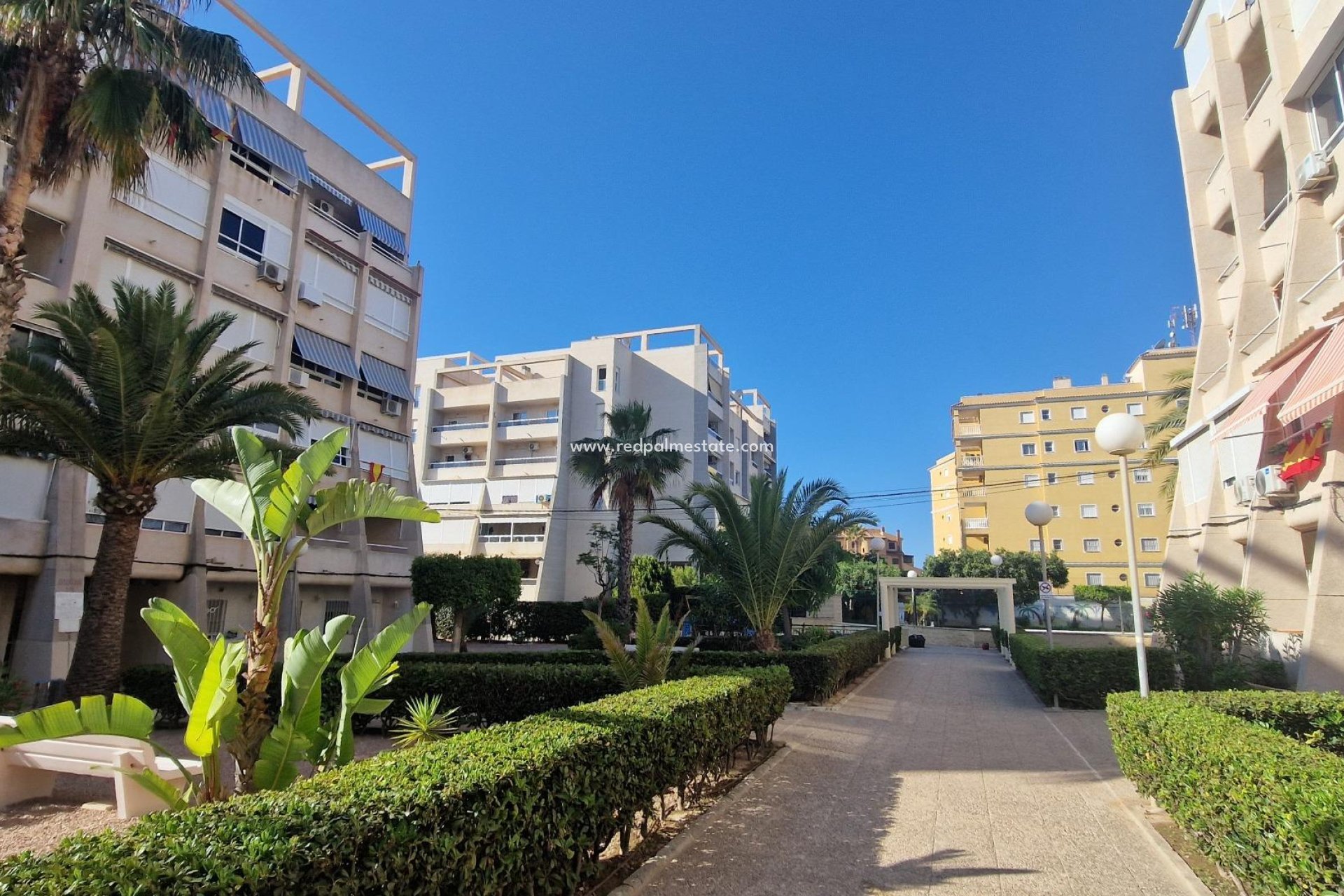 Herverkoop - Appartement -
Torrevieja - Aguas Nuevas