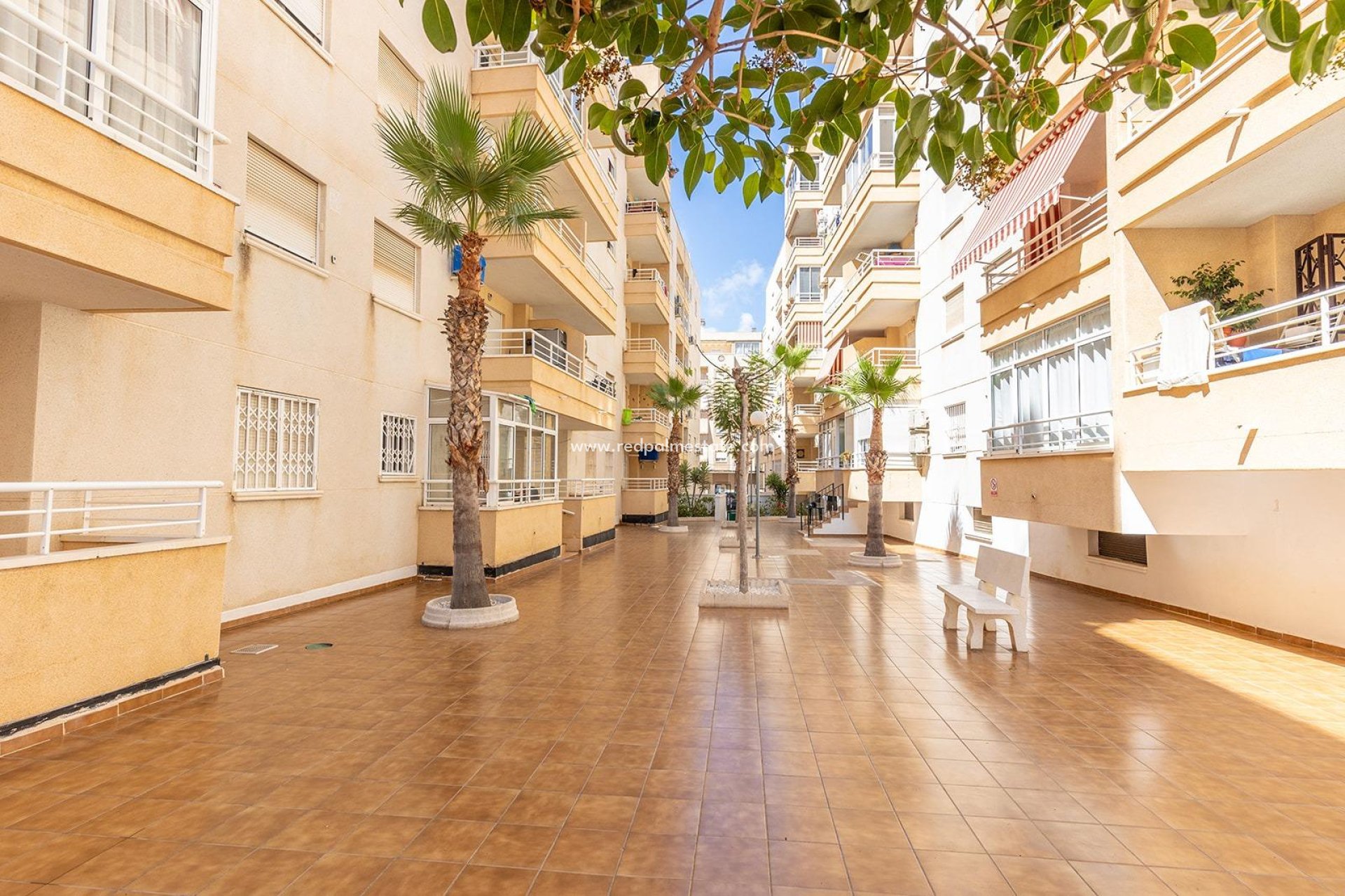 Herverkoop - Appartement -
Torrevieja - Center