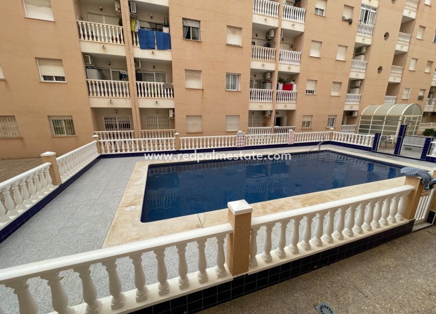 Herverkoop - Appartement -
Torrevieja - Center