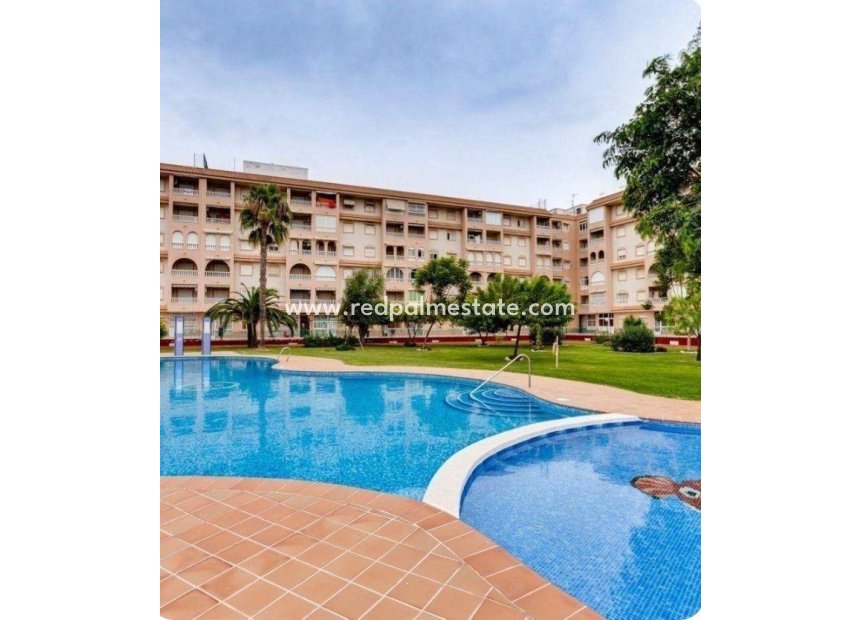 Herverkoop - Appartement -
Torrevieja - Center