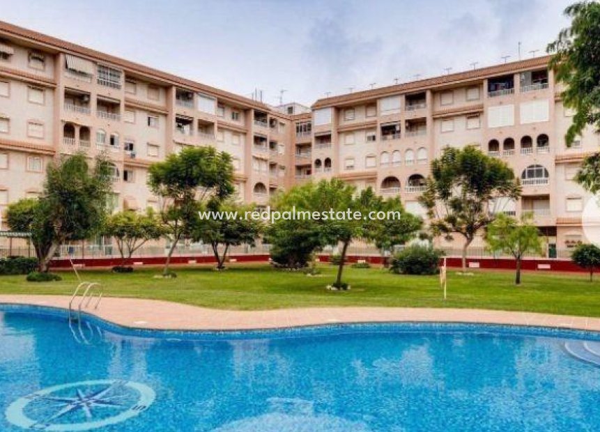 Herverkoop - Appartement -
Torrevieja - Center