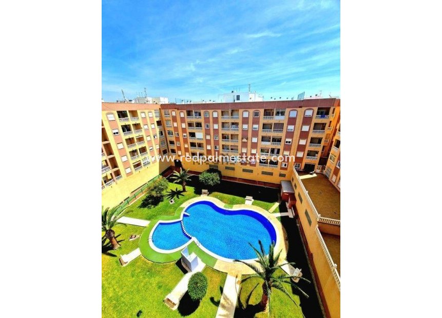 Herverkoop - Appartement -
Torrevieja - Center