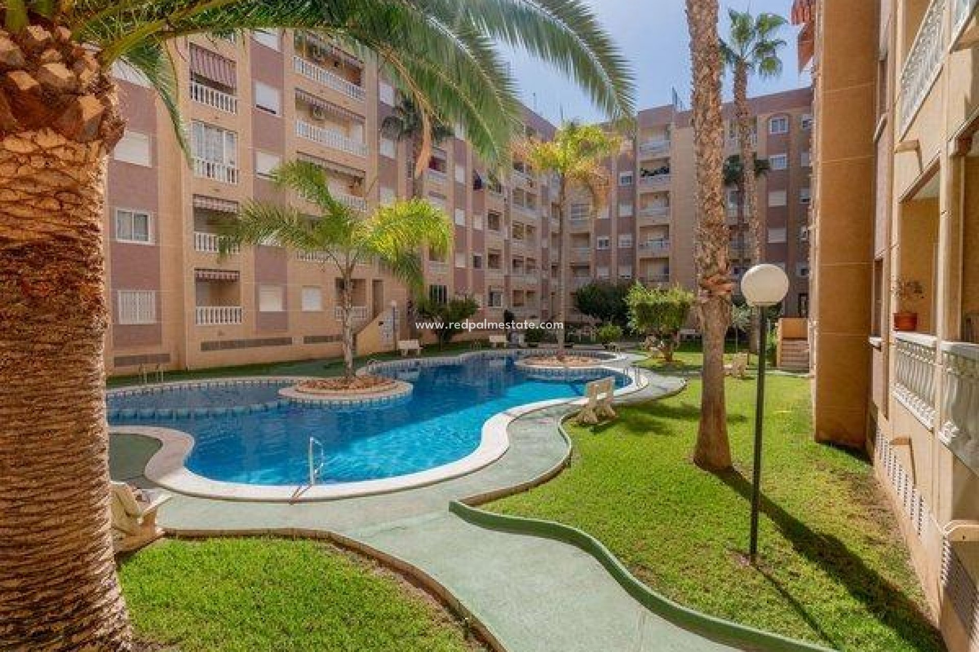 Herverkoop - Appartement -
Torrevieja - Center