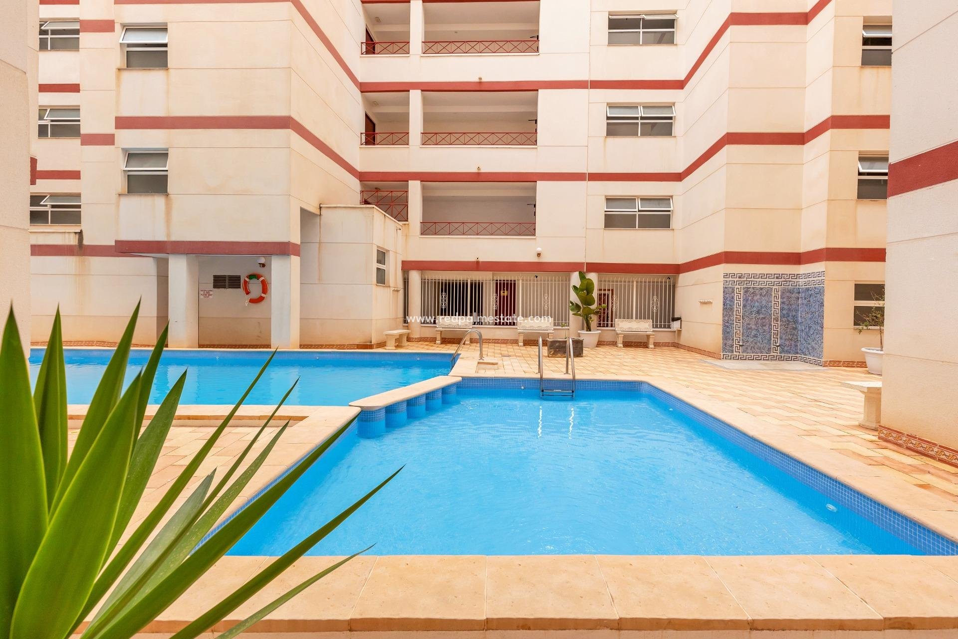 Herverkoop - Appartement -
Torrevieja - Center