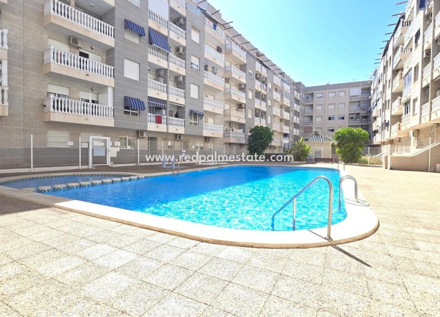 Herverkoop - Appartement -
Torrevieja - Center