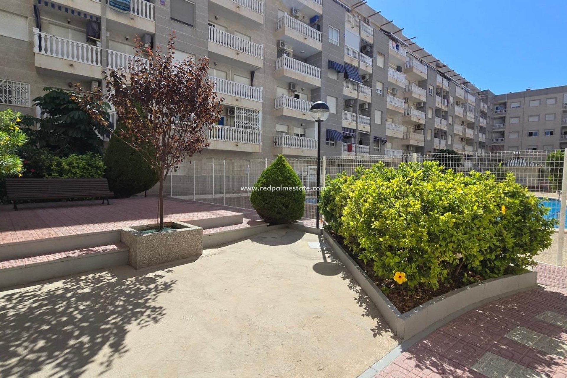 Herverkoop - Appartement -
Torrevieja - Center