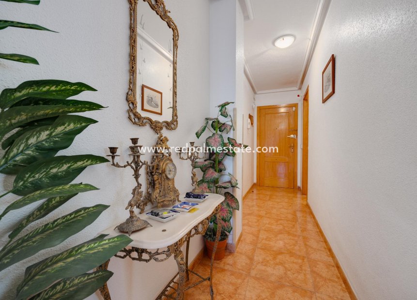 Herverkoop - Appartement -
Torrevieja - Center