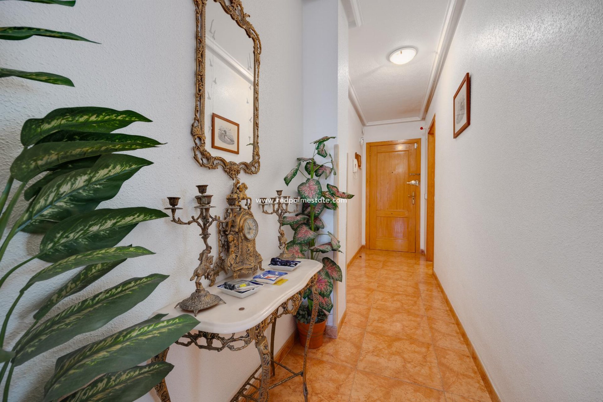 Herverkoop - Appartement -
Torrevieja - Center